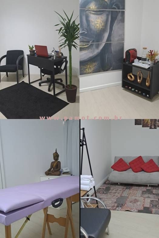 studio beltrame top 5 brasil