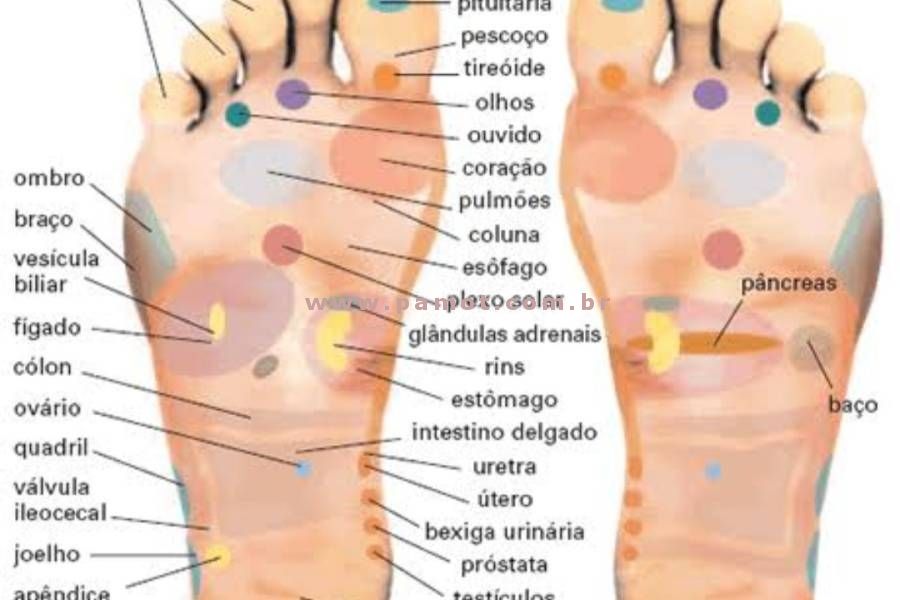 rita massoterapia profissional