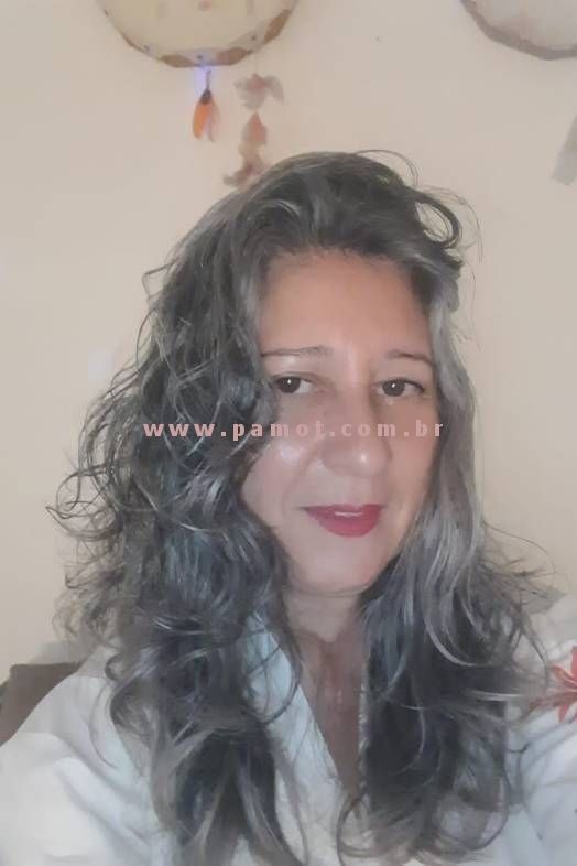 Perfil PAMOT