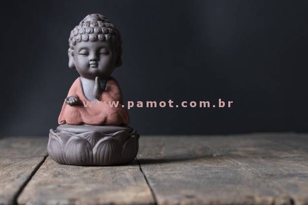 lidi palhares
