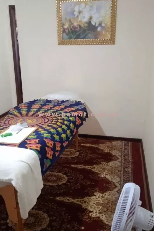 Foto do perfil Massagem Tântrica E Relaxante Para Mulheres Em Curitiba